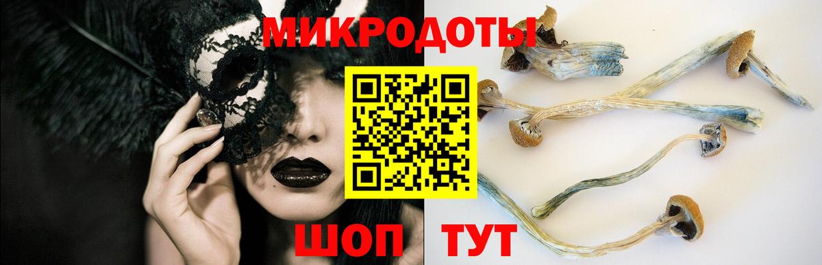 Галлюциногенные грибы MAGIC MUSHROOMS Елабуга